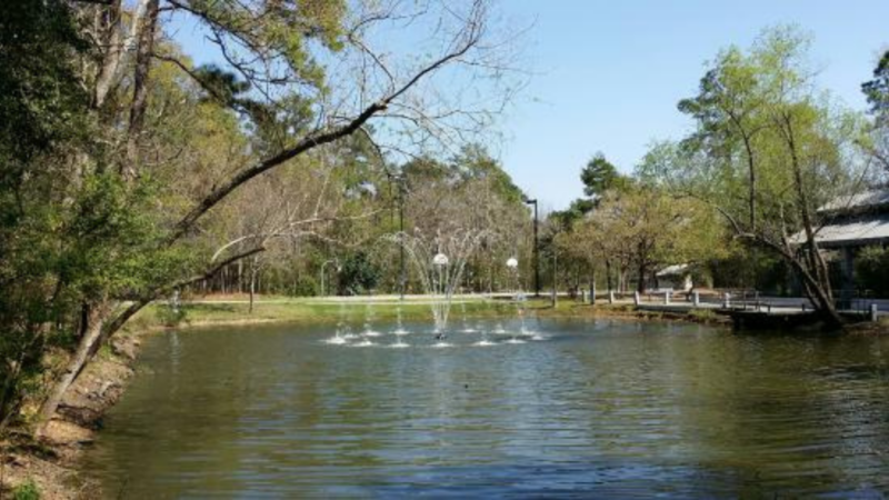 28 Best Things To Do In Woodlands TX (Texas)