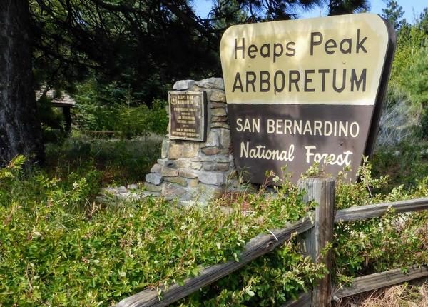 28 Best & Fun Things To Do In Lake Arrowhead California