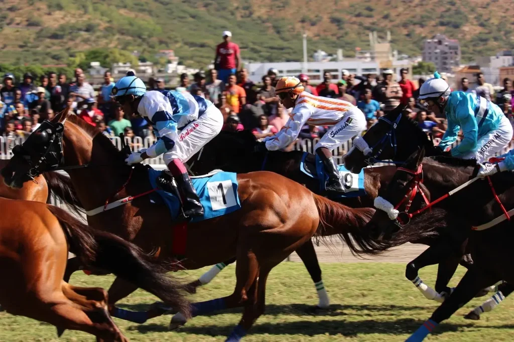 The Best Racecourses in India for Tourists - Explore the Top Indian Racecourses