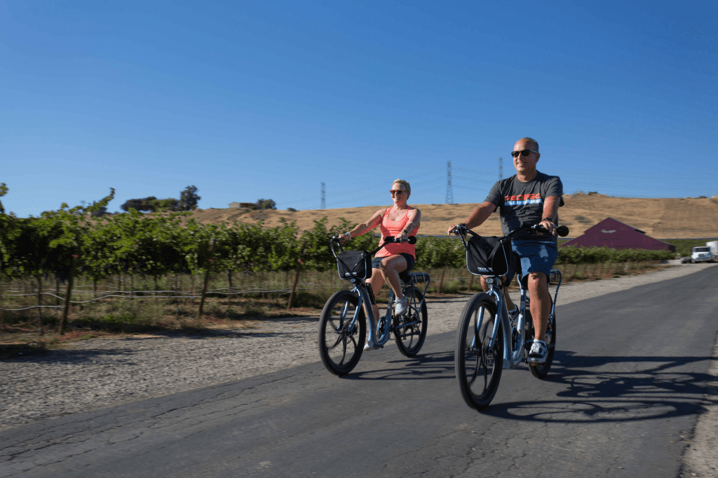 Pedego Electric Bikes Livermore Livermore, California