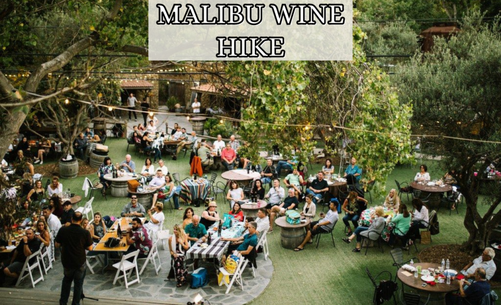 10 Best & Fun Things to do in Malibu