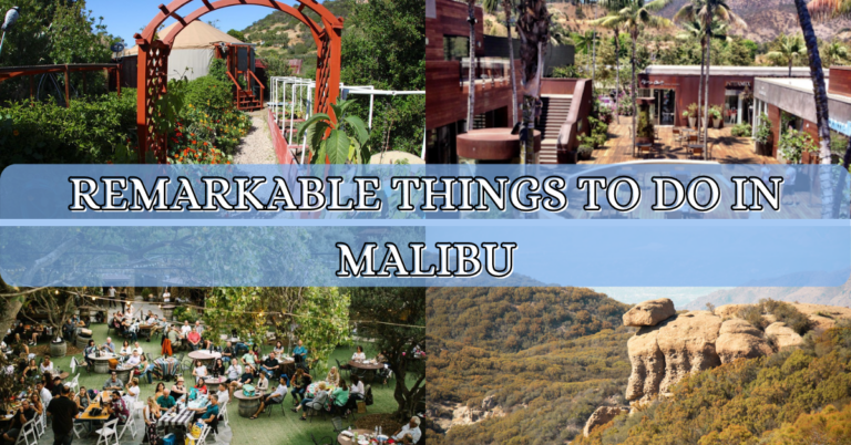 10 Best & Fun Things to do in Malibu