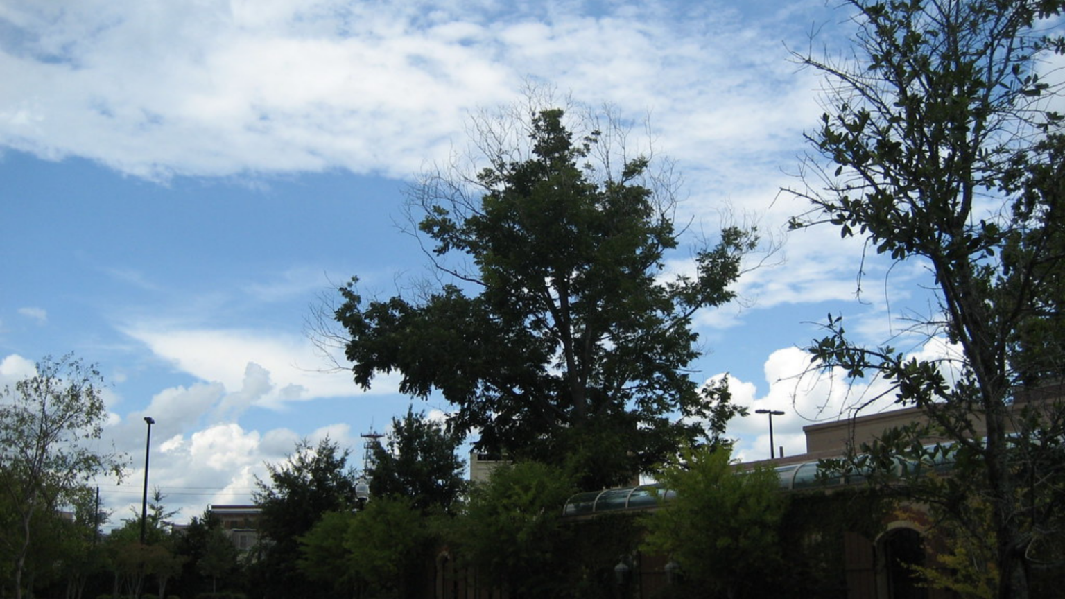 28 Fun & Best Things To Do In Hattiesburg MS (Mississippi) 2023