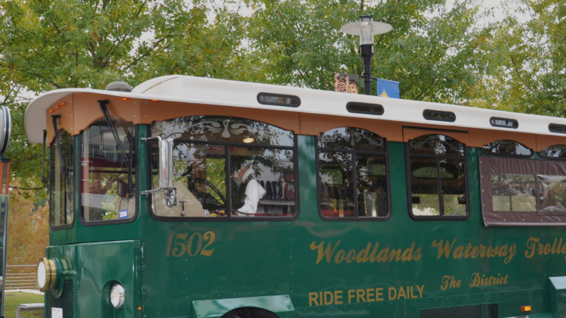 28 Best Things To Do In Woodlands Tx (Texas)