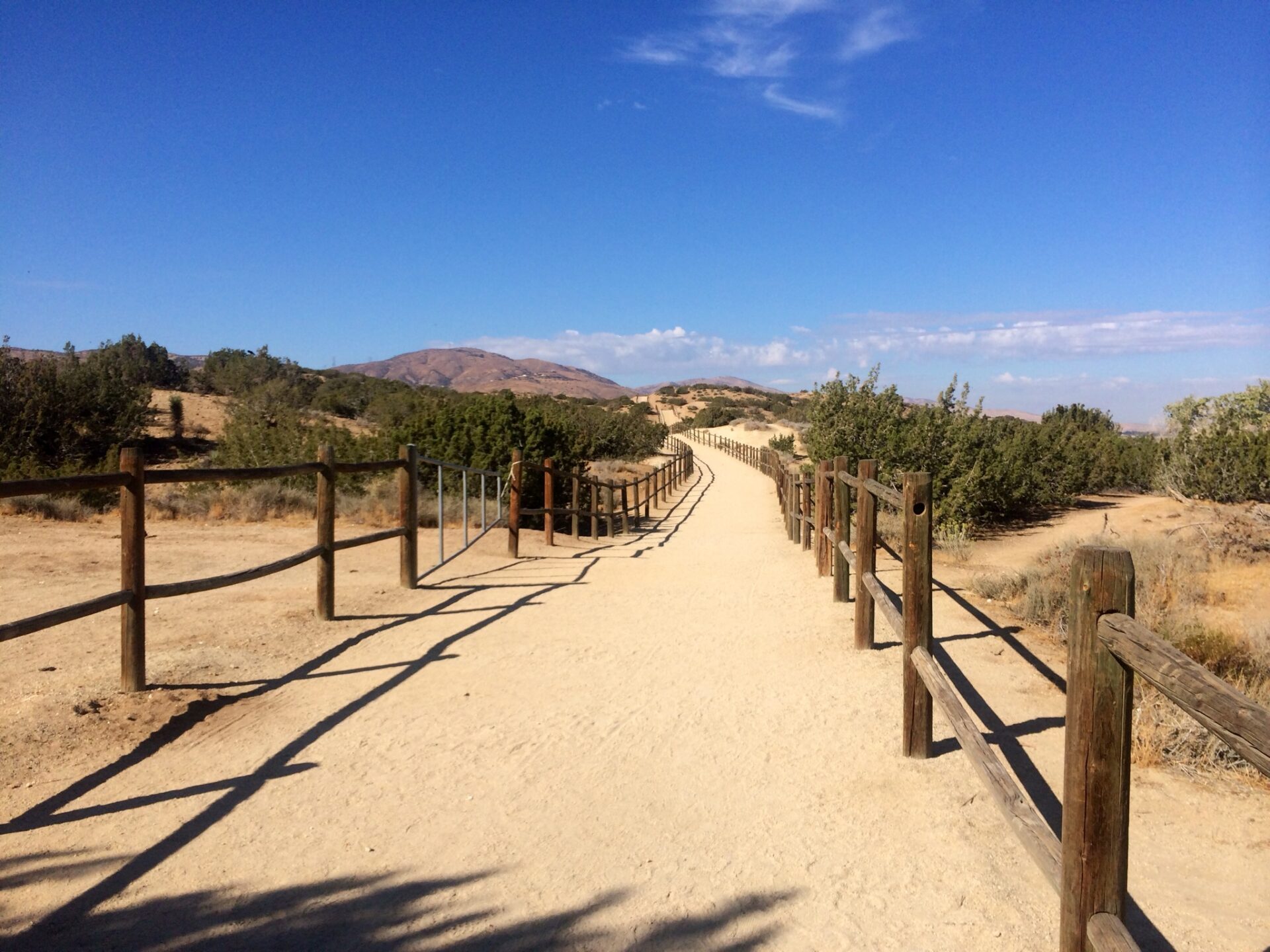 35 Best & Fun Things To Do In Palmdale CA (California) VastTourist