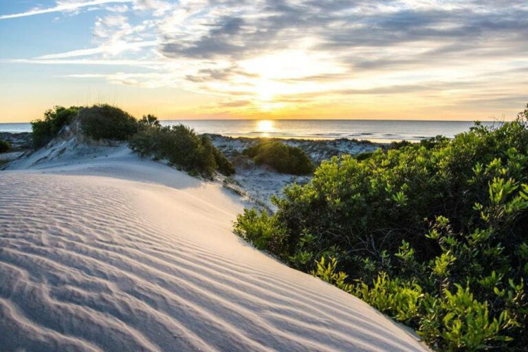 20 Best & Fun Things to Do in Statesboro GA (Georgia) - 2026