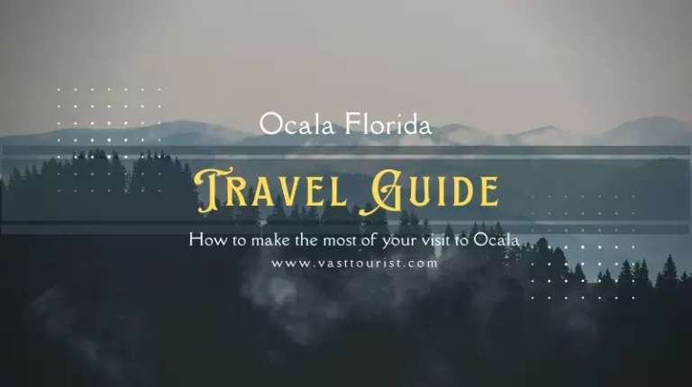 The Best Ocala Florida Travel Guide: How to make the most of your visit to Ocala
