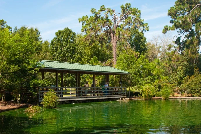 25 Best & Fun Things to do in Ocala Florida