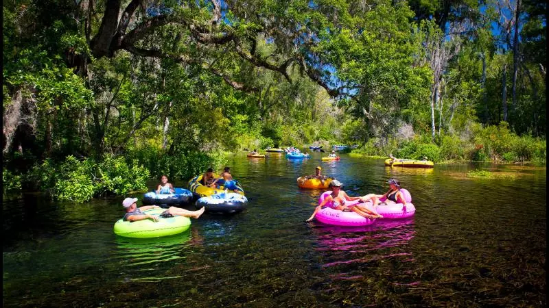 25 Best & Fun Things to Do in Gainesville Florida