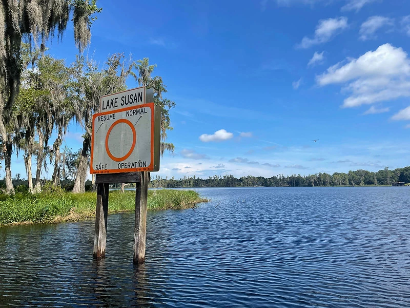20 Best & Fun Things to Do in Clermont Florida