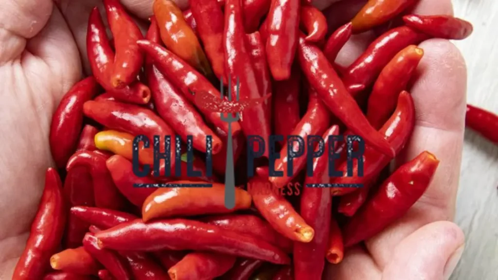 Chilli Lovers Rejoice! 5 Best Hot Chilli Food and Travel Blog Just for You