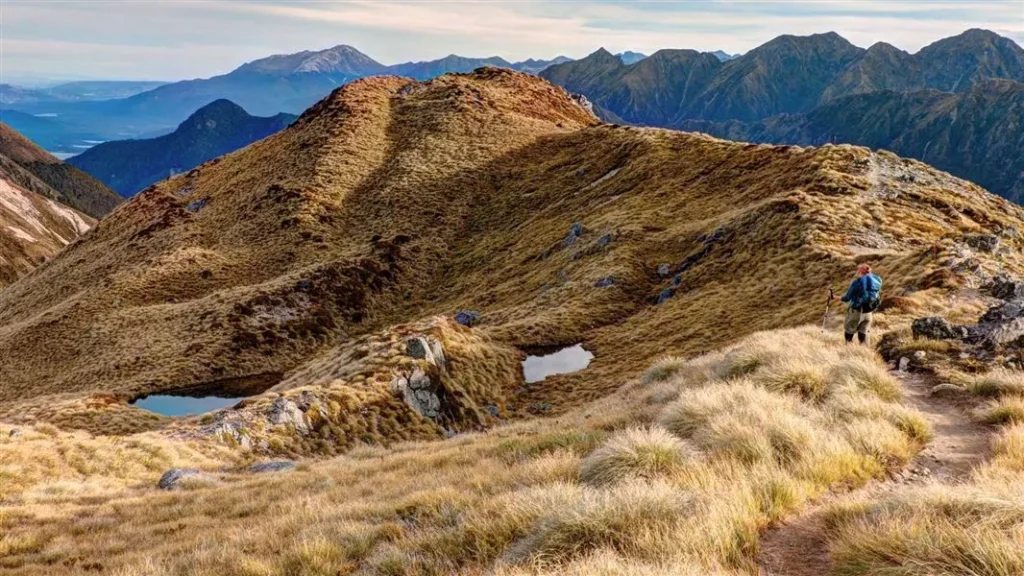 22 Best & Fun Things To Do In Te Anau (New Zealand)