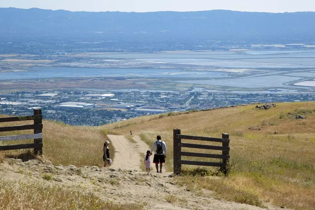 20 Best & Fun Things To Do In Fremont CA (California)