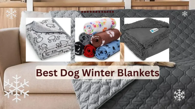 dog winter blankets