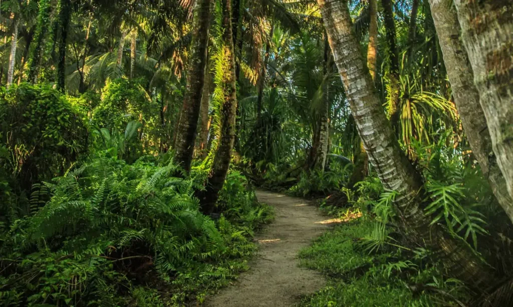 21 Best & Fun Things To Do In Guam (Micronesia)