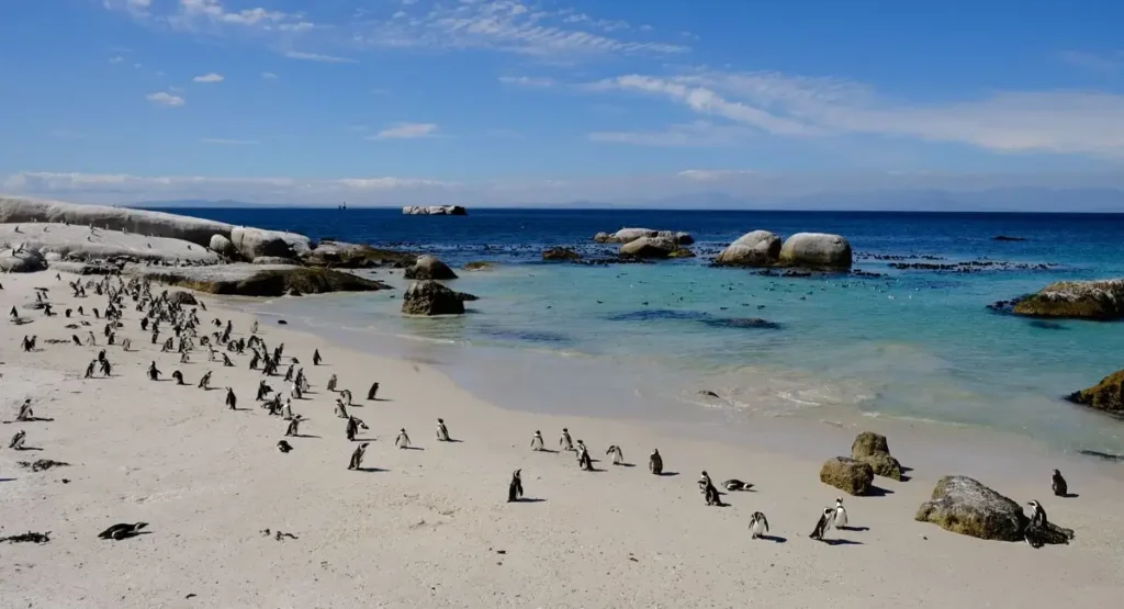 A Guide to South Africa's Scenic Destinations | Once In a Lifetime Experience