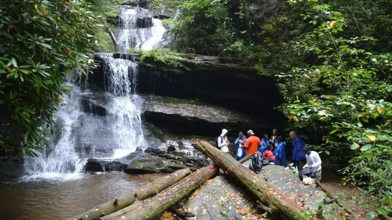 20 Best Things to Do in Gainesville GA (Georgia)