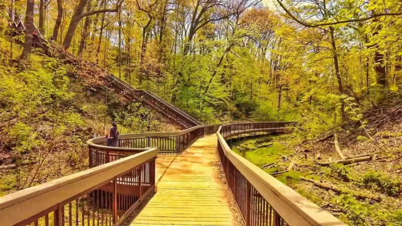 best Hikes and Trails to do near Toronto