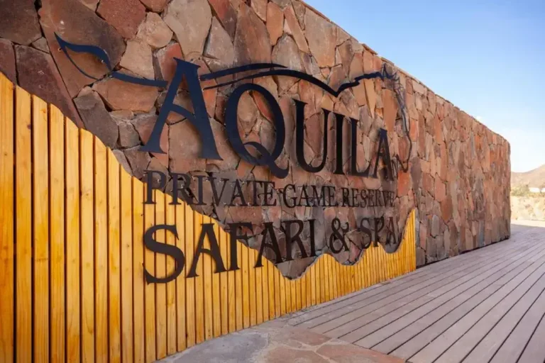 Aquila Private Game Reserve & Spa: Embark on a Safari Adventure in South Africa