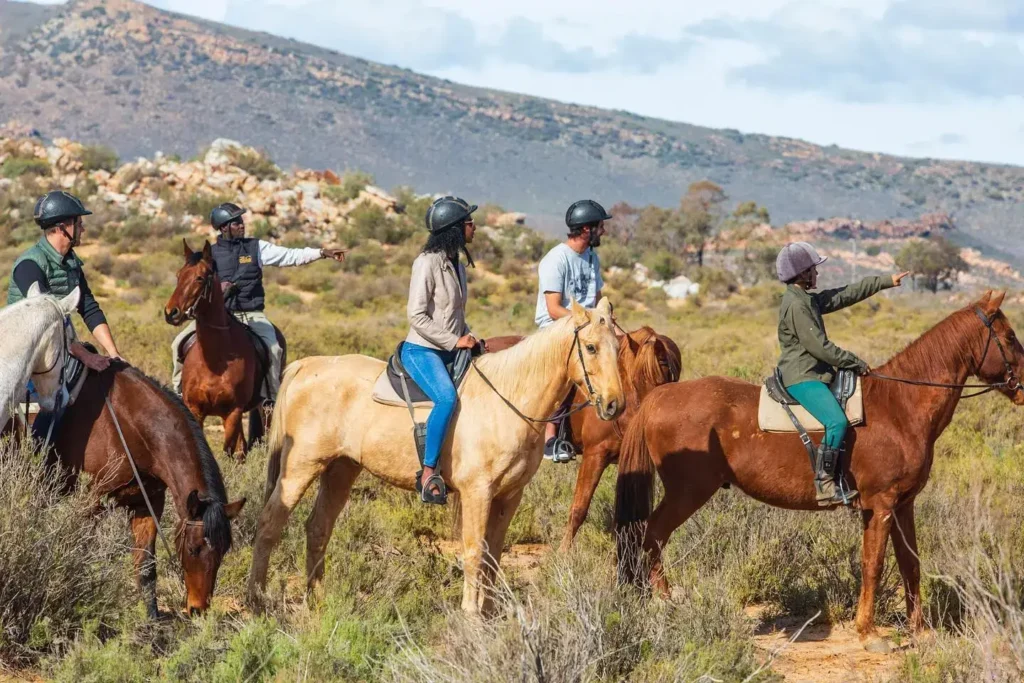 Aquila Private Game Reserve & Spa: Embark on a Safari Adventure in South Africa
