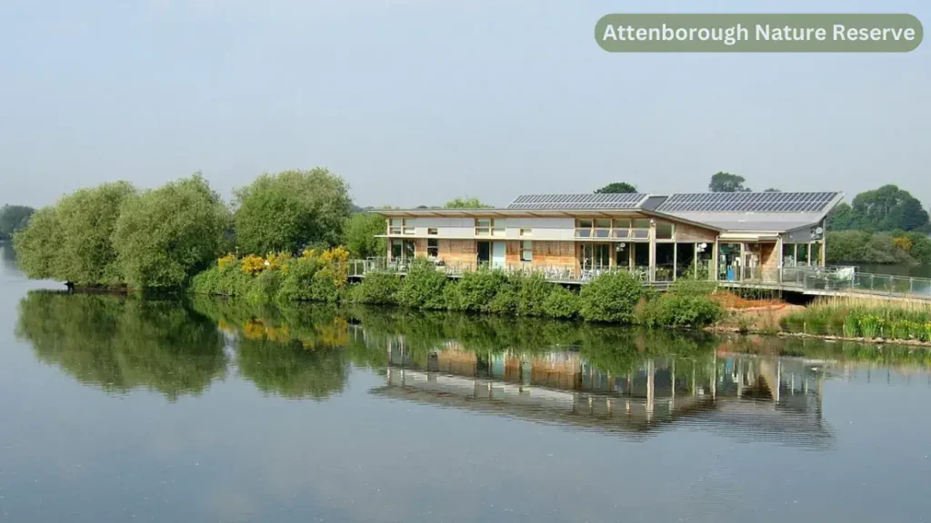 Discover the Beauty of Attenborough Nature Reserve: A Sanctuary for Wildlife and Nature Enthusiasts