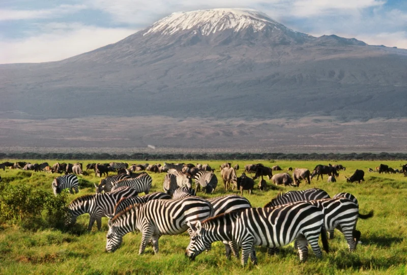 Best National Parks in East Africa