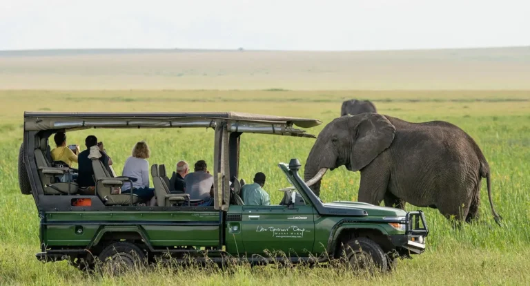 African Safari Preparation Tips: How to Make the Most of Your Trip