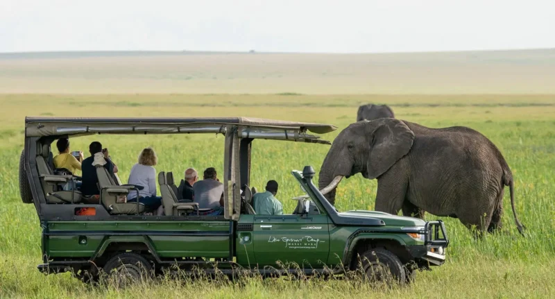 African Safari Preparation Tips