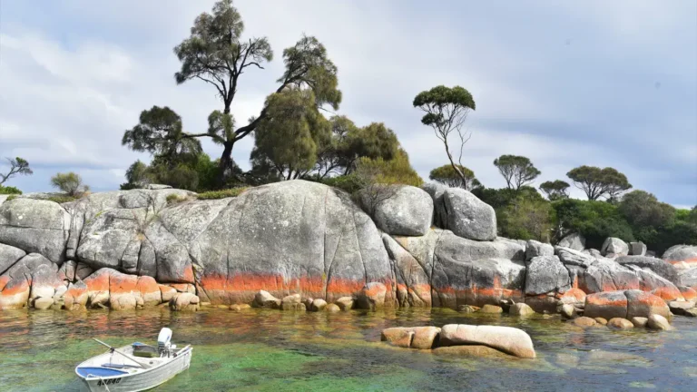 Experience the Best of Tasmania: Must-See Destinations and Attractions