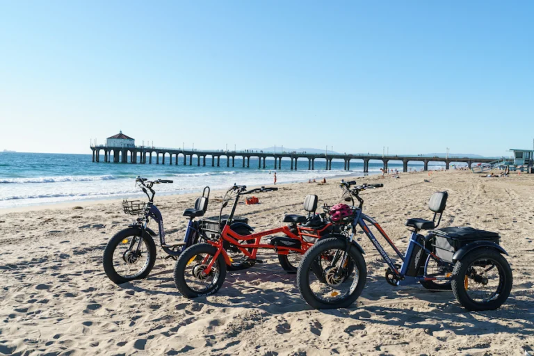 Addmotor Electric Trikes: The Ultimate Travel Companion for Any Terrain