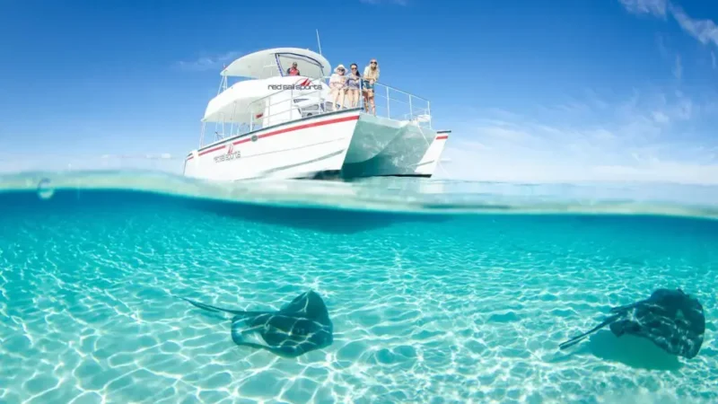 How to Make the Most of Your Stingray City Grand Cayman Tour