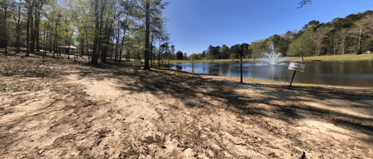 20 Fun Things To Do In Flowood Ms: Amazing Places You Cant Wait To ...