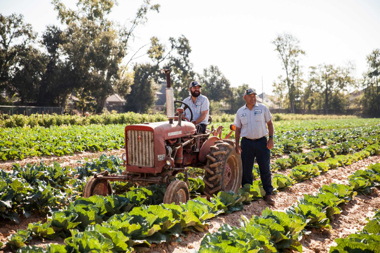 20 Fun Things To Do In Spring, Texas – VastTourist
