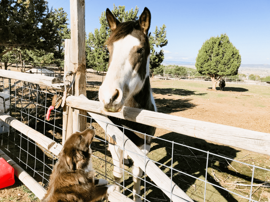 20 Best Things to Do in Cedar City, Utah