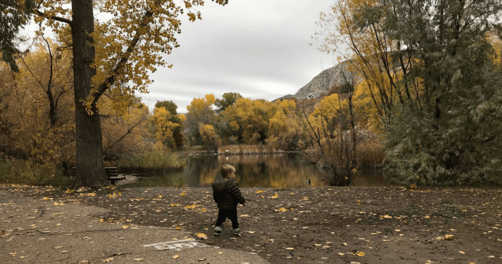 15 Best Parks in Ogden to Visit