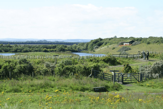 Hauxley Nature Reserve